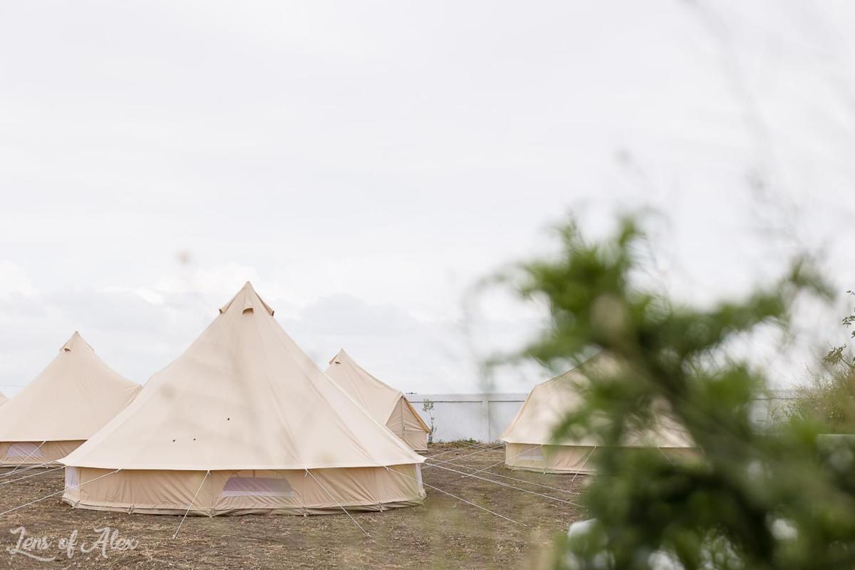 Faleza23 Luxury tent Olimp
